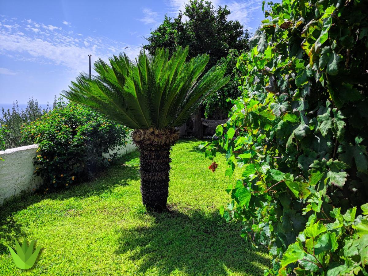 Villa Delle Agavi Vietri エクステリア 写真