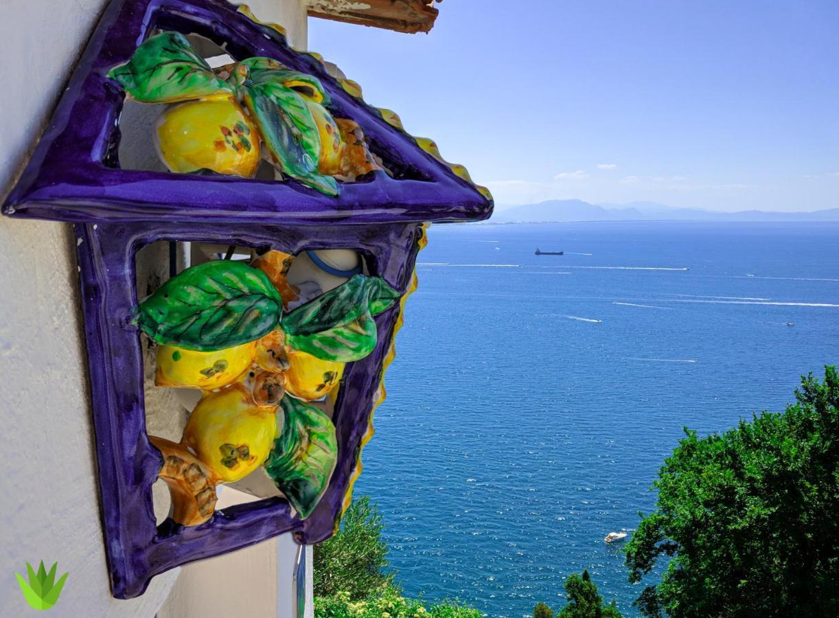 Villa Delle Agavi Vietri エクステリア 写真