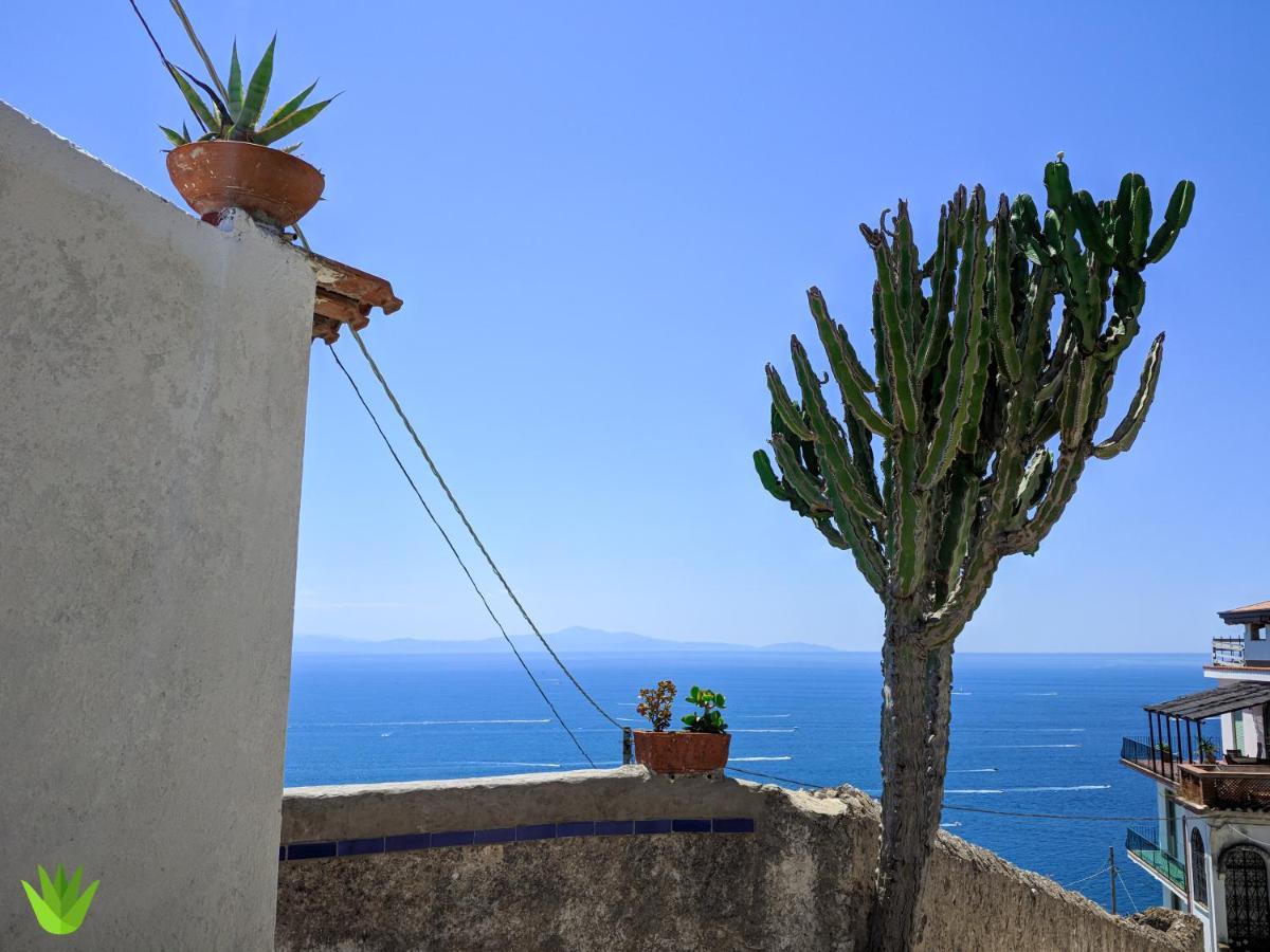 Villa Delle Agavi Vietri エクステリア 写真